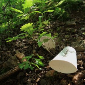 leave no trace