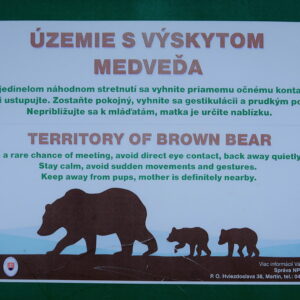setkání s medvědem
