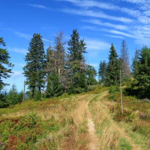 Velká Fatra