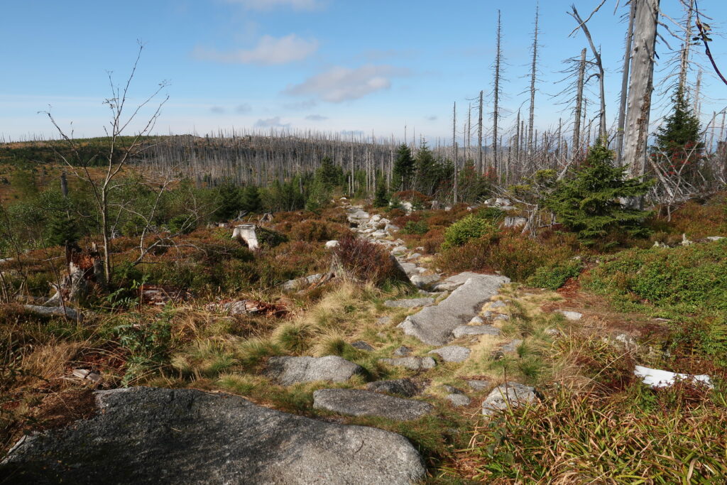 Šumava