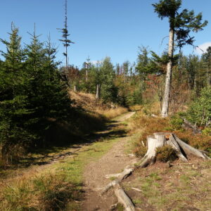 Šumava