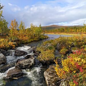 Kungsleden