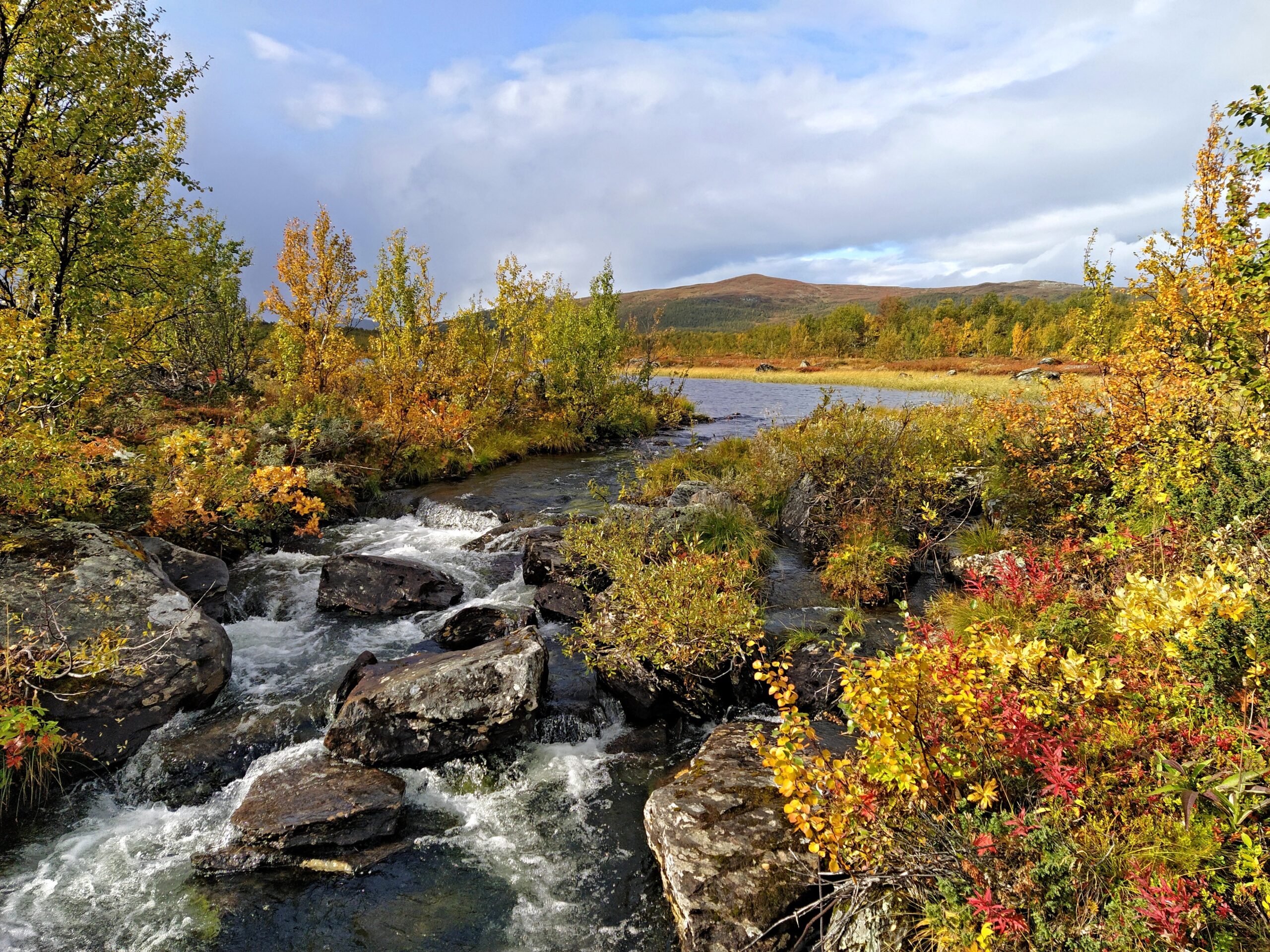 Kungsleden