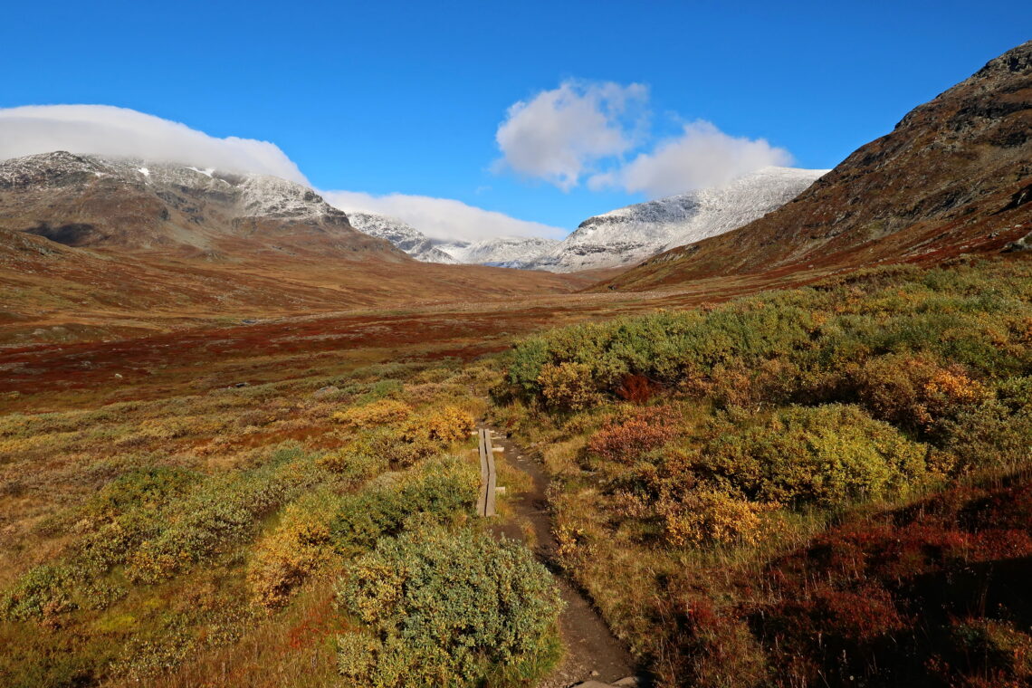 Kungsleden