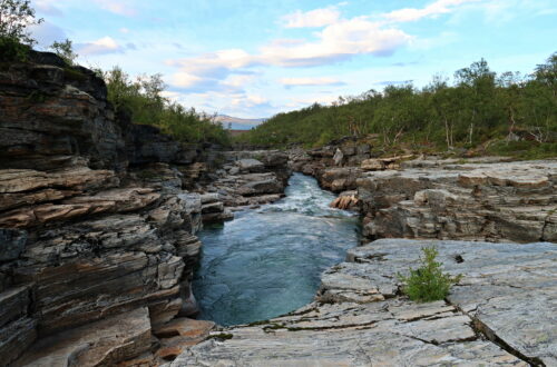 Kungsleden