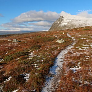 Kungsleden