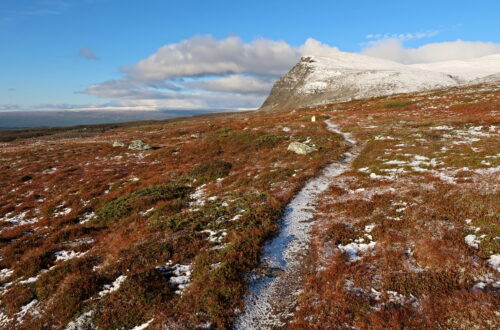 Kungsleden